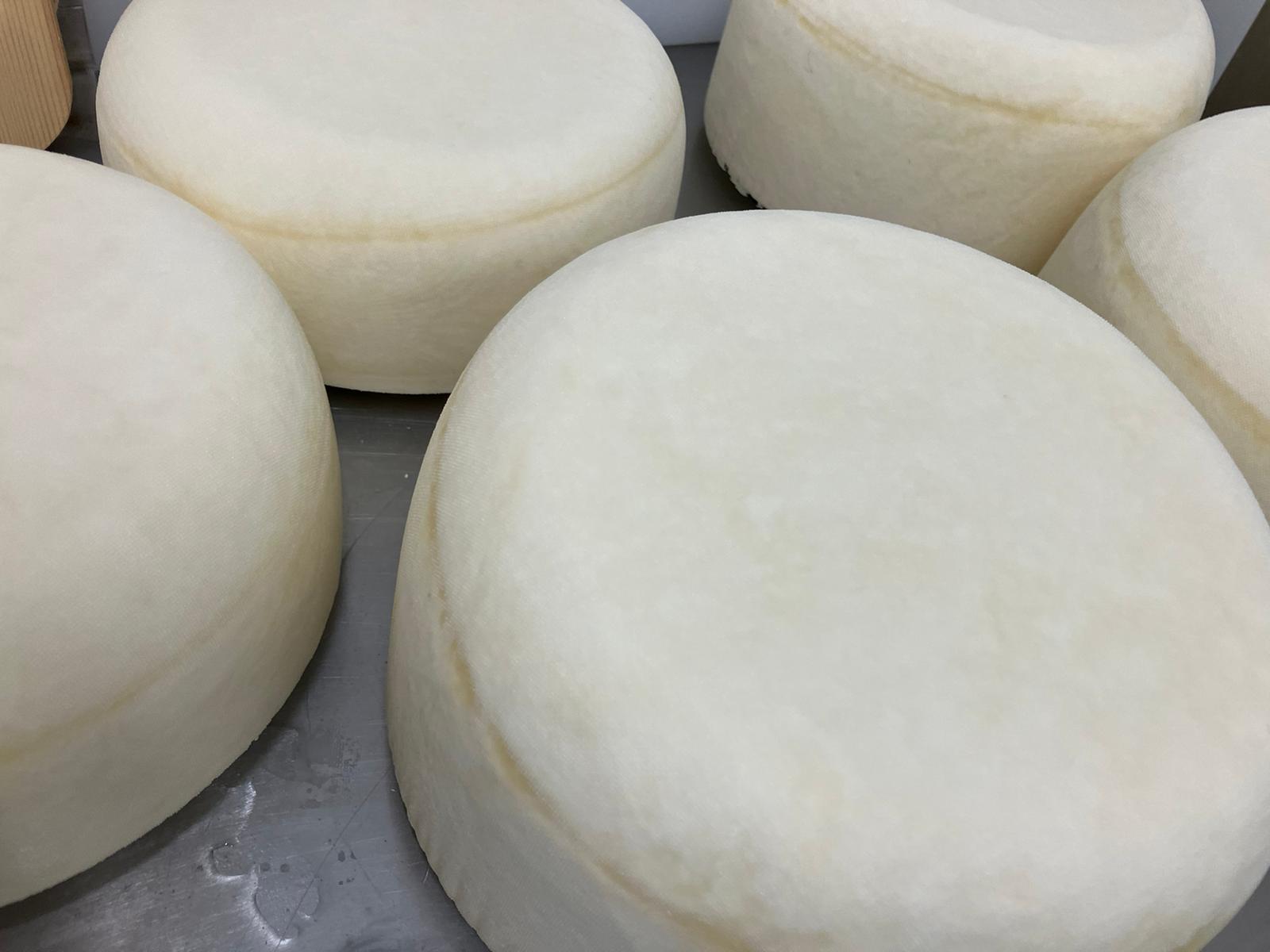 969d4a06-ae86-4ebc-876e-3195401b3ebb